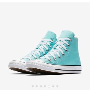 Converse chuck Taylor seasonal all star high tops